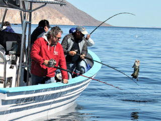Fishing in Baja Mexico